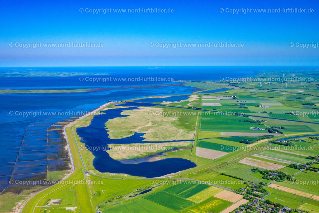 Ockholm_Speicherbecken_ELS_8273100623 | OCKHOLM 10.06.2023 Küsten- Landschaft mit Deich- Schutzstreifen am Speicherbecken Süd an der Straße L191 in Ockholm Nordfriesland im Bundesland Schleswig-Holstein, Deutschland. Naturschutzgebiet, Landwirtschaft und Windkraft -Anlagen. // Coastline with dike protection strips on Speicherbecken Sued on street L191 in Ockholm North Friesland in the state Schleswig-Holstein, Germany. Foto: Martin Elsen