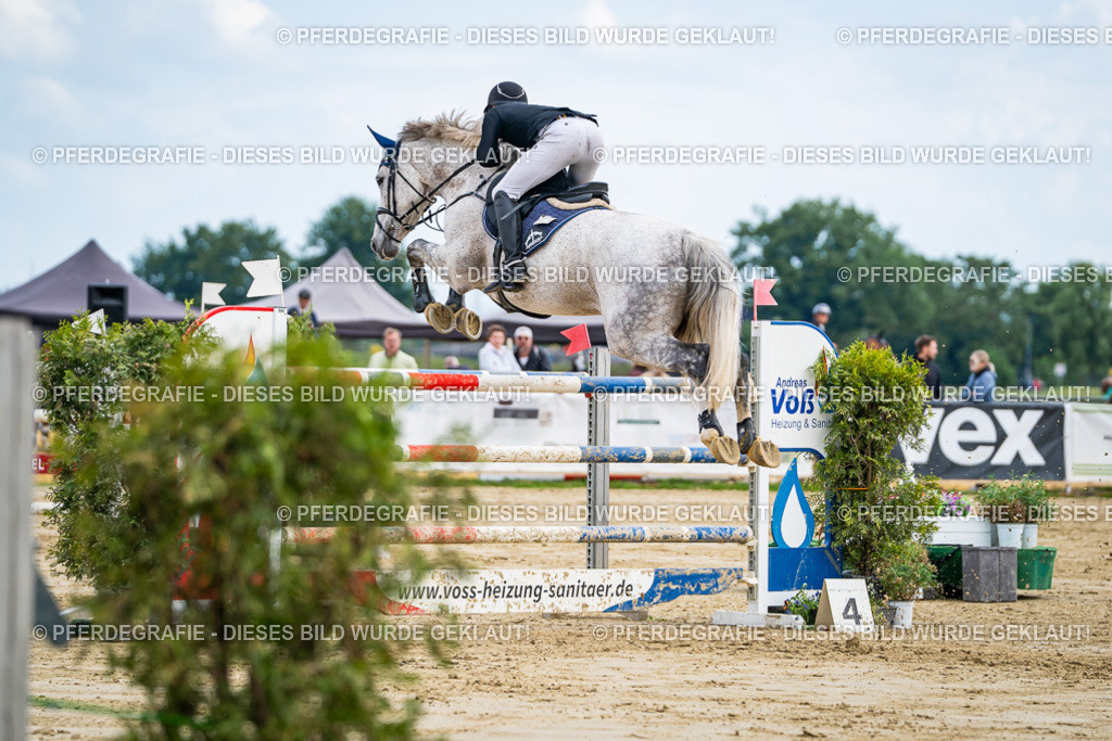 DSC07026 | Pferdegrafie