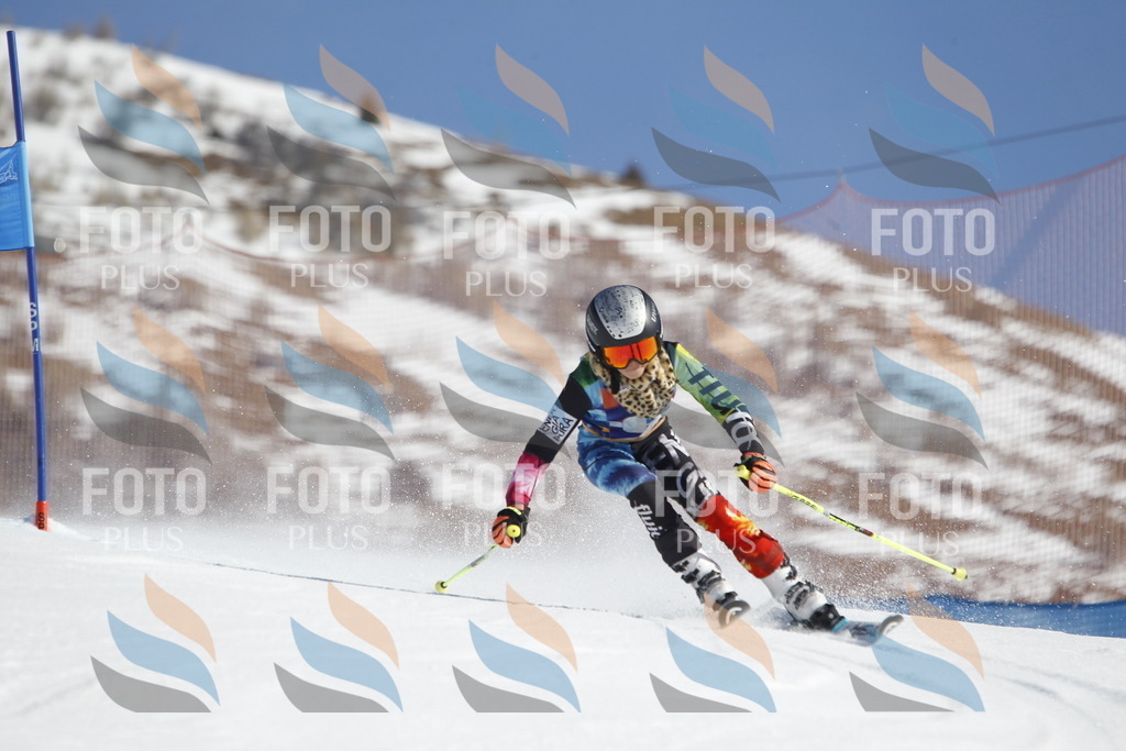 _U3G8561 | holidayphoto