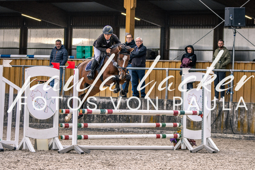 IMG_5066 | Erleben Sie dynamische Sport- und emotionale Tierfotografie in Süddeutschland mit Fotos von Paula. Spezialisiert auf Pferde- und Hundefotografie sowie Sportevents. Kontaktieren Sie mich für einzigartige und ausdrucksstarke Bilder Ihrer besonderen Momente.