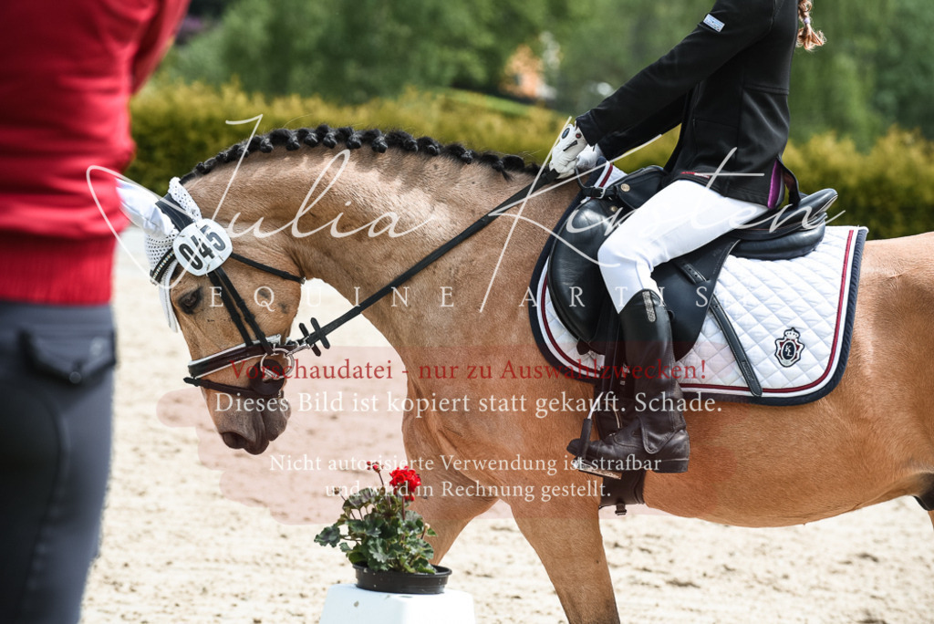 20230518_JK-Röhrsdorf-11-0205 | Pferde- und Turnierfotografie in Westsachsen. Pferdeportraits, Auftragszeichnungen und intuitive Kunst.