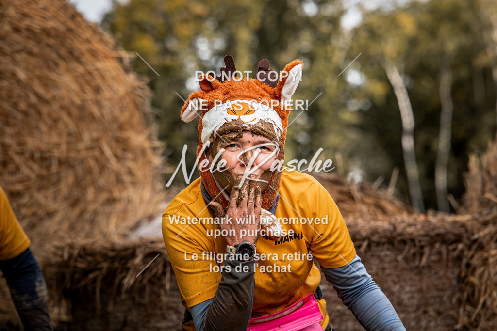 nelerasche_Hunsrück_So09-11_406 | nelerasche