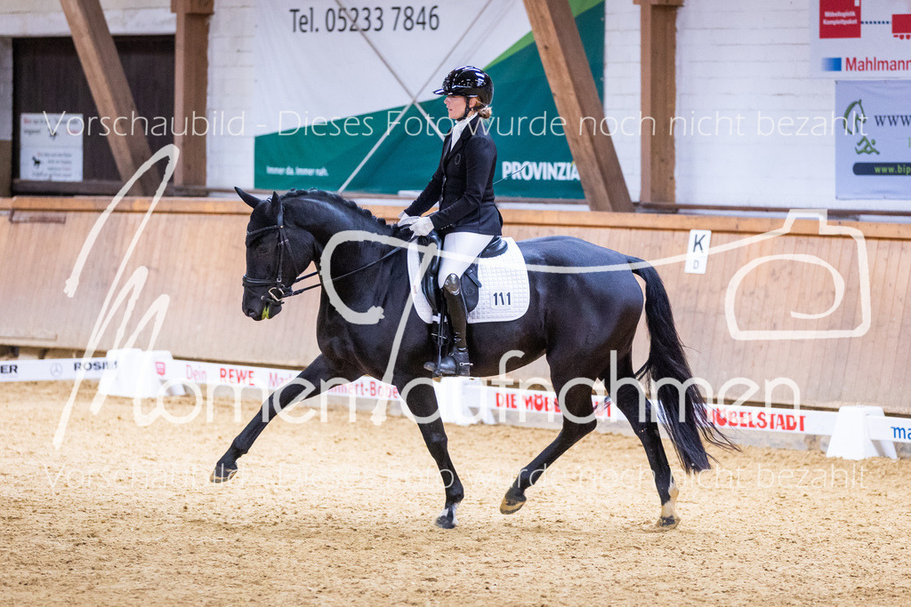 Sth-A-Dre-2St-145 | MomenTaufnahmen Pferdesportfotos