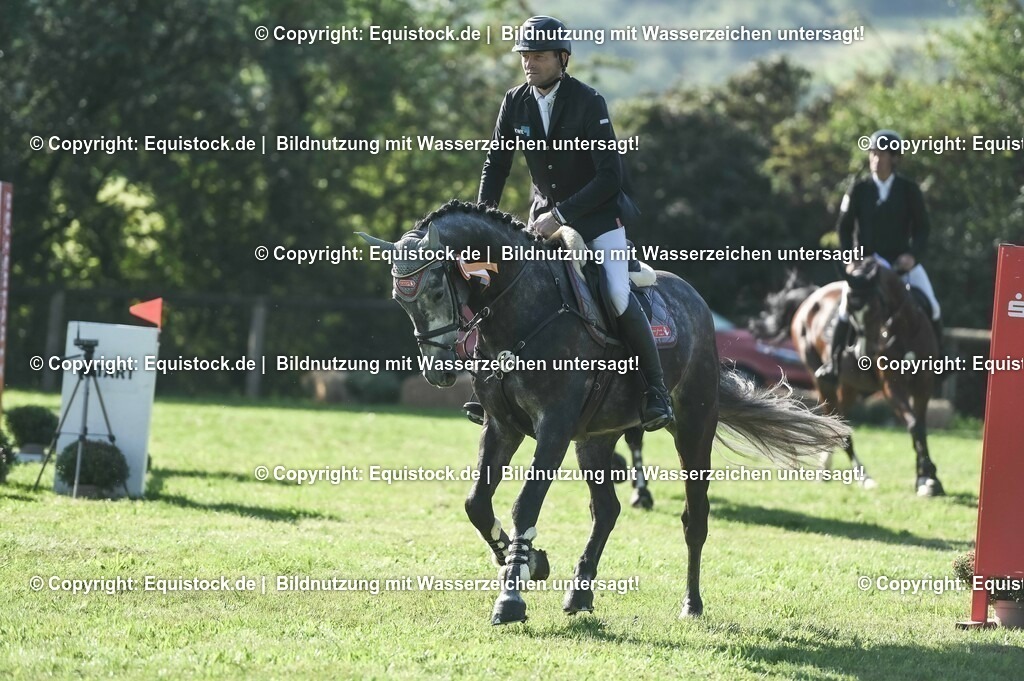 20230908_14-15_Springpferde-A_0143 | equistock