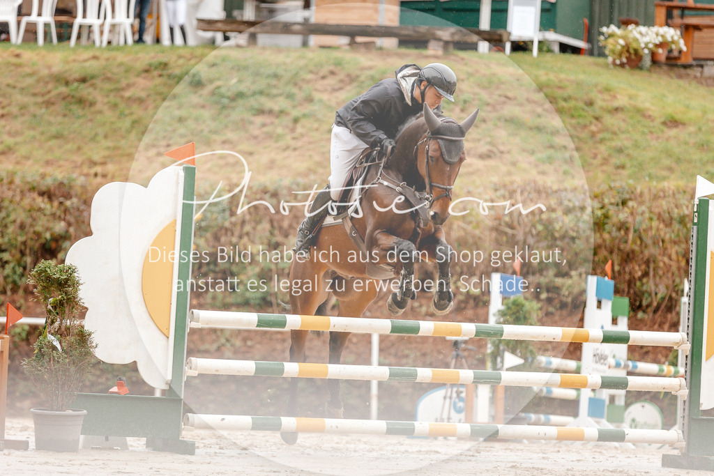 3I6A5899 | Stimmungsvolle Portraits und Reitsportfotografie im Ruhrgebiet und im Münsterland.

Pferdefotografie, Hundefotografie, Tierfotografie, Reportagen, Portraits von Tier und Mensch, Turnierfotografie in Bochum, Recklinghausen, Marl, Haltern am See, Dülmen.. - Realisiert mit Pictrs.com