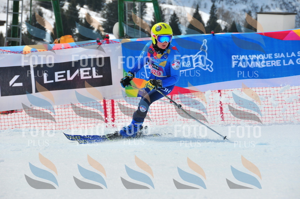 DSC_7209 | holidayphoto