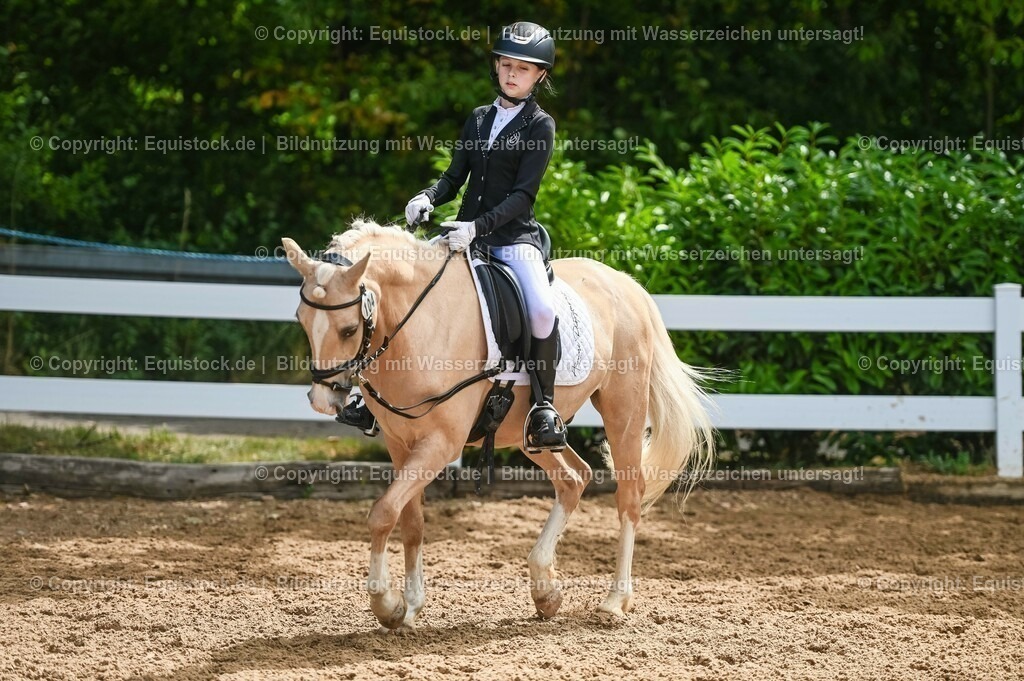 20230716_10-3_Reiter-WB Schritt - Trab - Galopp_0111 | equistock