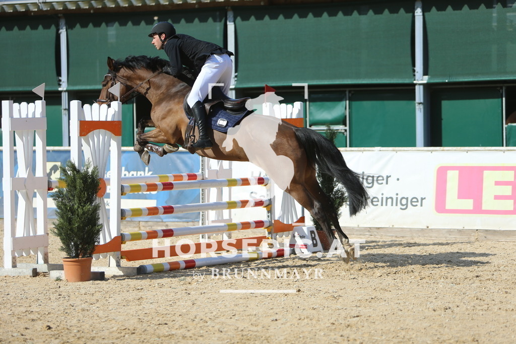 DL2Q3767 | Willkommen bei Brunnmayr - Design & Fotografie – Ihrem Spezialisten für Reitturniere und Pferdeveranstaltungen in Oberösterreich, Salzburg und Bayern! Seit über 17 Jahren sind wir leidenschaftlich dabei.