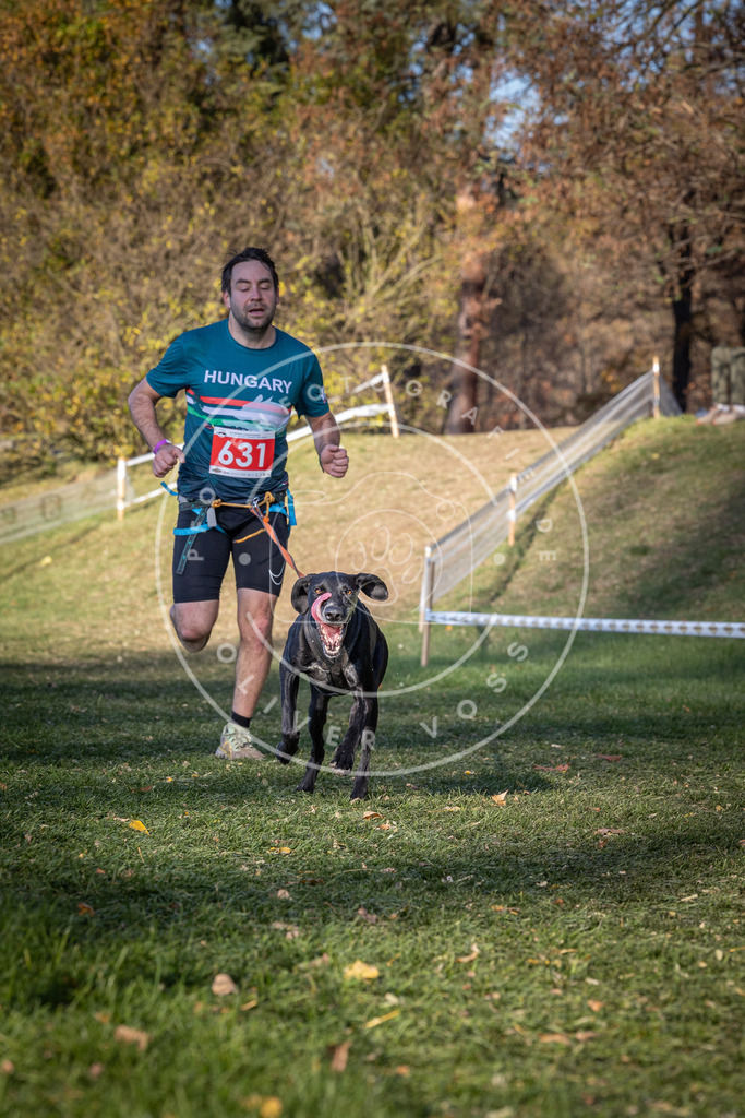 CaniXpix_0L8A8927 | Hundefotografie, Tierfotograf, Pfotenfotografie, Fotoshooting Hund, Hunde Portrait, Hundesport, Hundeportraits, Heideshooting, Hunde, Sportfotograf, Hundefotograf, Turnierhundsport, THS,  - Realisiert mit Pictrs.com