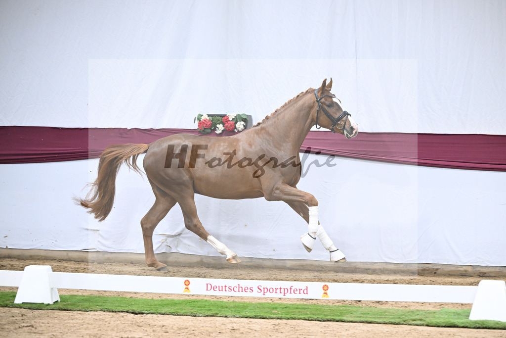 Kat-Nr. 115 Secret x Fidermark_Frieder Heilemann_47254371 | hf-fotografie - Realisiert mit Pictrs.com