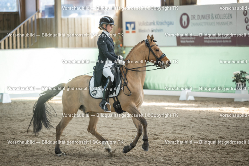 _D5A0402 | Emotionale Pferde- & People-Fotografie rund um Heidelberg, Leimen & Umgebung. Natürliche Fotos von Pferd, Mensch & Familie. Jetzt Termin sichern!