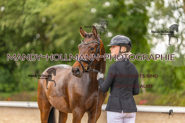 RPF 4 Filsum (133 von 535) | mandyhollmannphotographie