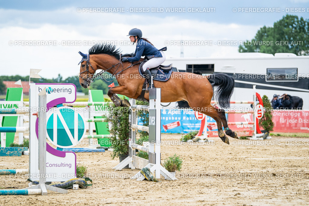 DSC06033 | Pferdegrafie