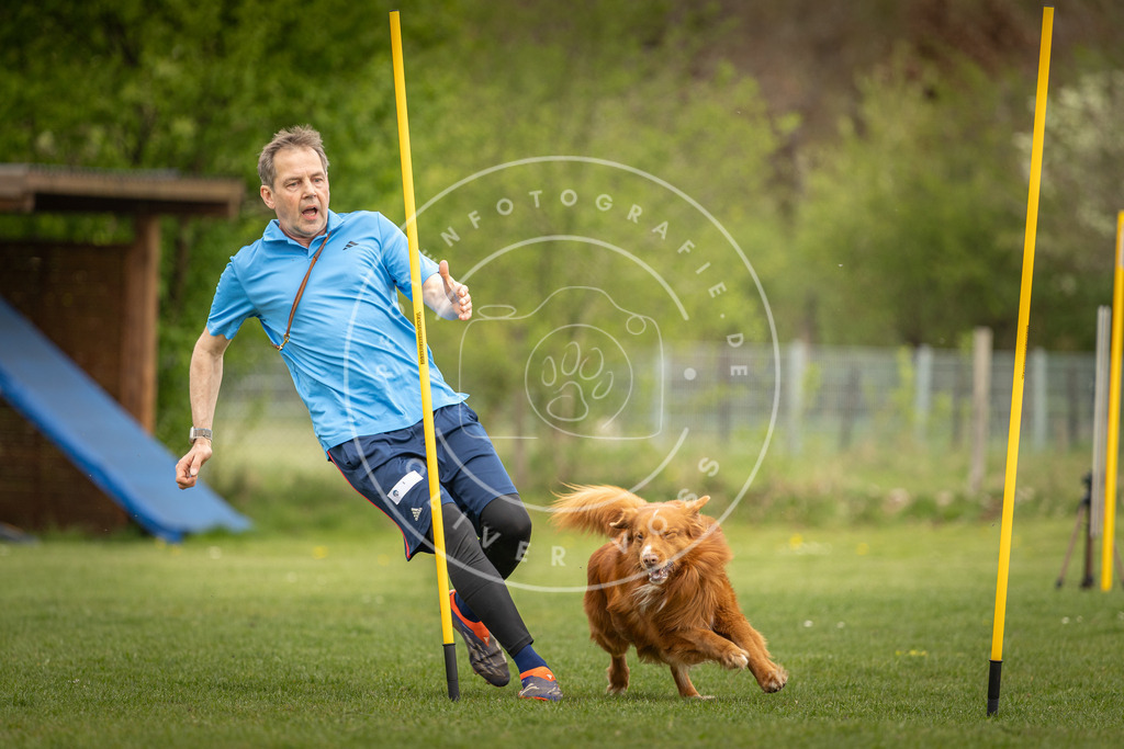 Pfotenfotografie_DV3A7373 | Hundefotografie, Tierfotograf, Pfotenfotografie, Fotoshooting Hund, Hunde Portrait, Hundesport, Hundeportraits, Heideshooting, Hunde, Sportfotograf, Hundefotograf, Turnierhundsport, THS,  - Realisiert mit Pictrs.com