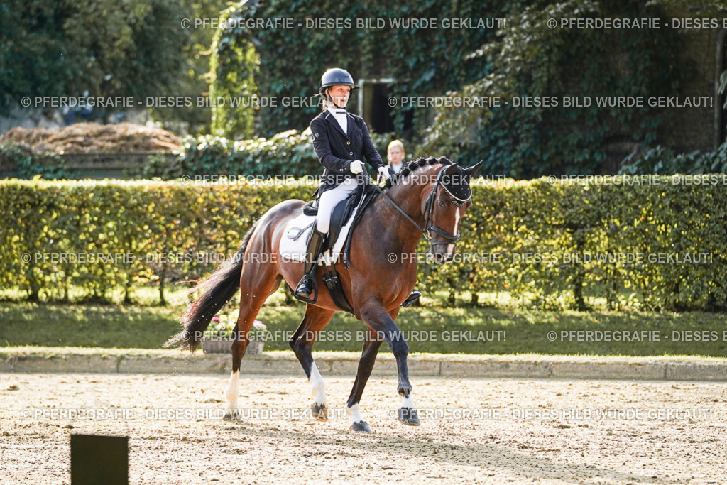 DSC05077 | Pferdegrafie