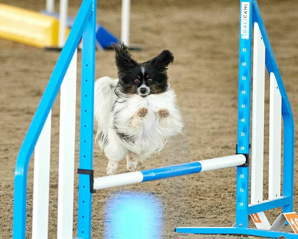 580B0113 | Peter Fridle Fotografie - Realisiert mit Pictrs.com