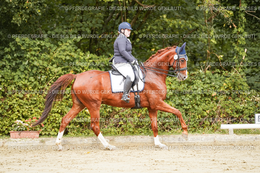 DSC03249 | Pferdegrafie