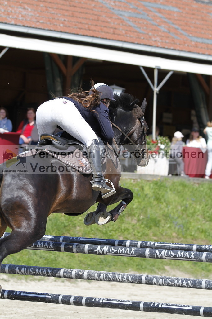 _MG_9512 | equestrian-live-com