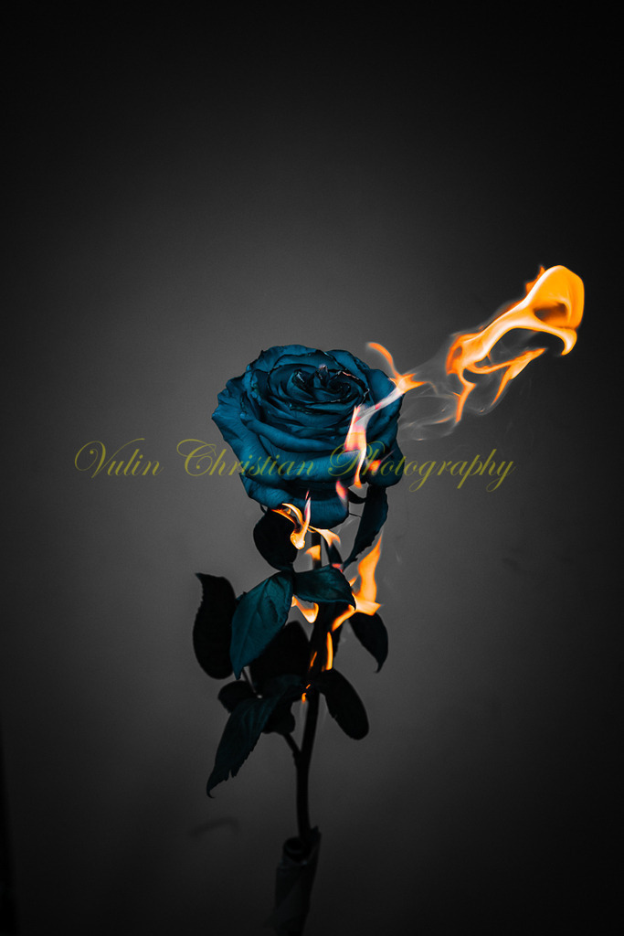 P 76 | Christian Vulin  - Realisiert mit Pictrs.com