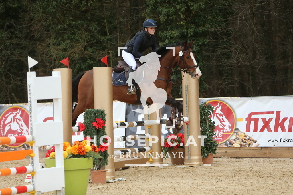 DL2Q6093 | Willkommen bei Brunnmayr - Design & Fotografie – Ihrem Spezialisten für Reitturniere und Pferdeveranstaltungen in Oberösterreich, Salzburg und Bayern! Seit über 17 Jahren sind wir leidenschaftlich dabei.