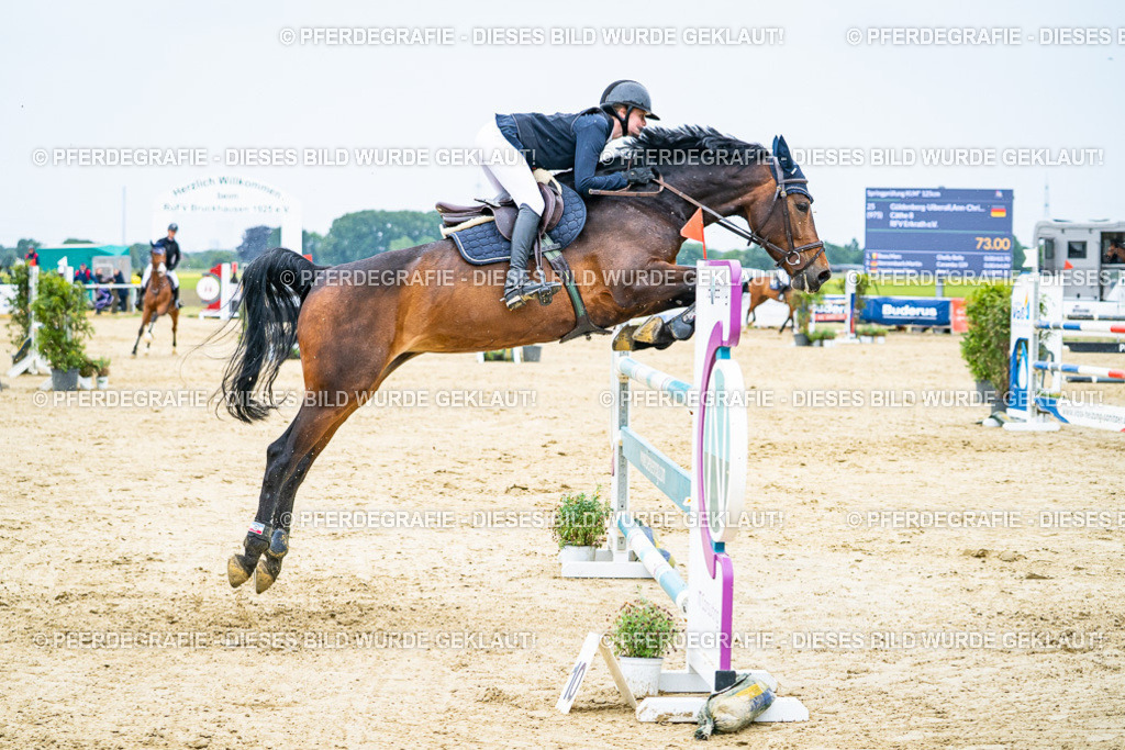 DSC07368 | Pferdegrafie