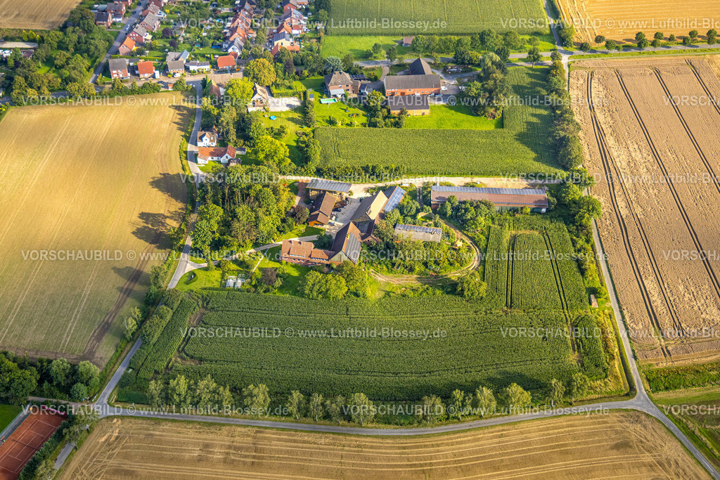 Beckum230805937Vellern | Luftbild, Landwirtschaftsbetrieb Schulze Westhoff, Vellern, Beckum, Münsterland, Nordrhein-Westfalen, Deutschland