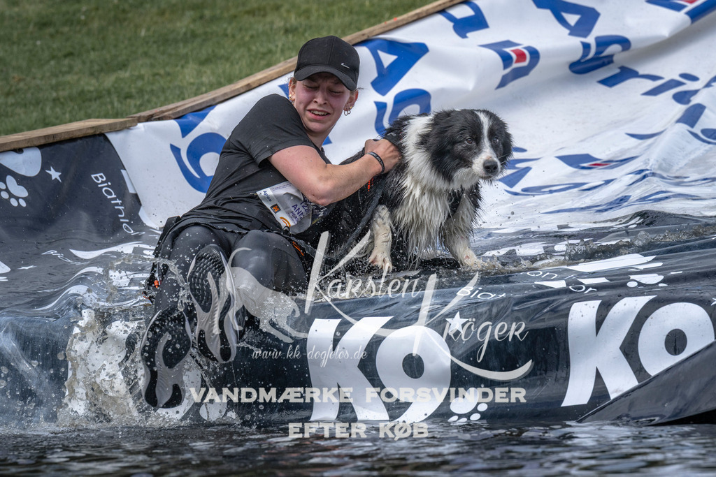 1128_ZZ92471 | kk-dogfotos