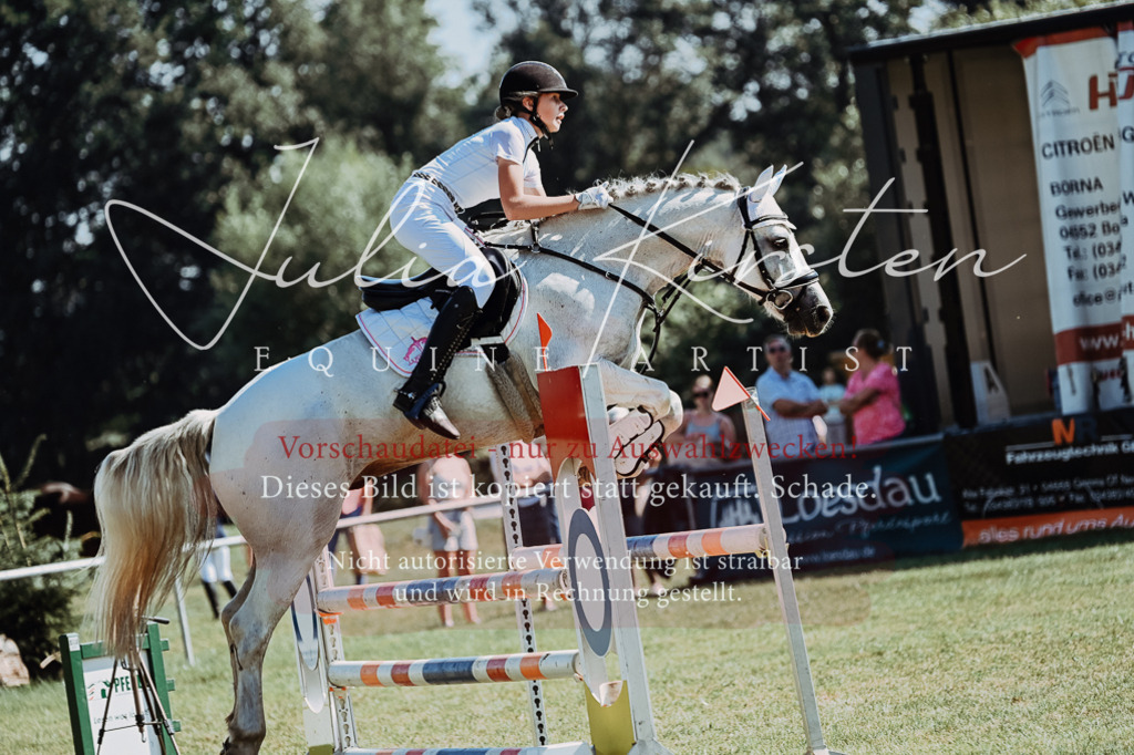 DSC_6096 | Pferde- und Turnierfotografie in Westsachsen. Pferdeportraits, Auftragszeichnungen und intuitive Kunst.