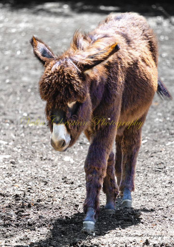 PH 19 | Christian Vulin  - Realisiert mit Pictrs.com