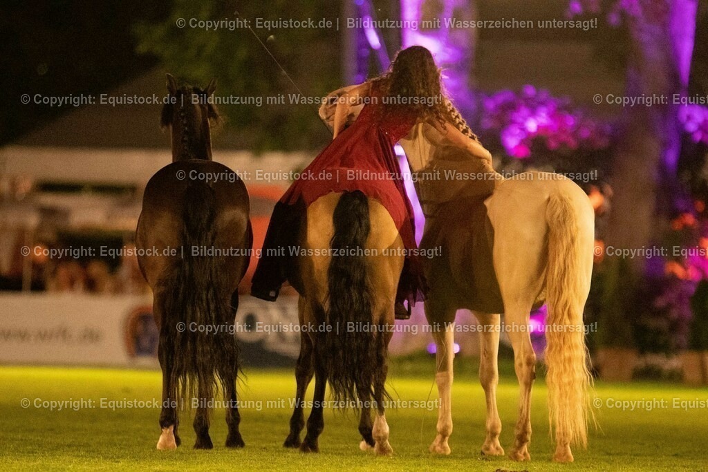 20230526_Pferdenacht_1476 | equistock