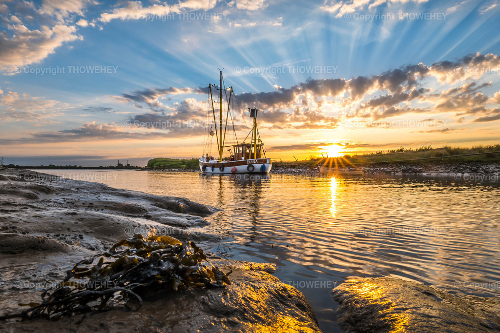 _1003773 | thowehey - Realisiert mit Pictrs.com