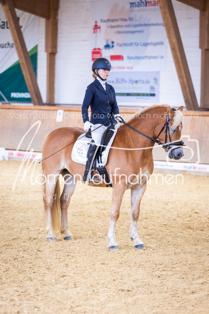 Sth-A-Dre-2St-020 | MomenTaufnahmen Pferdesportfotos