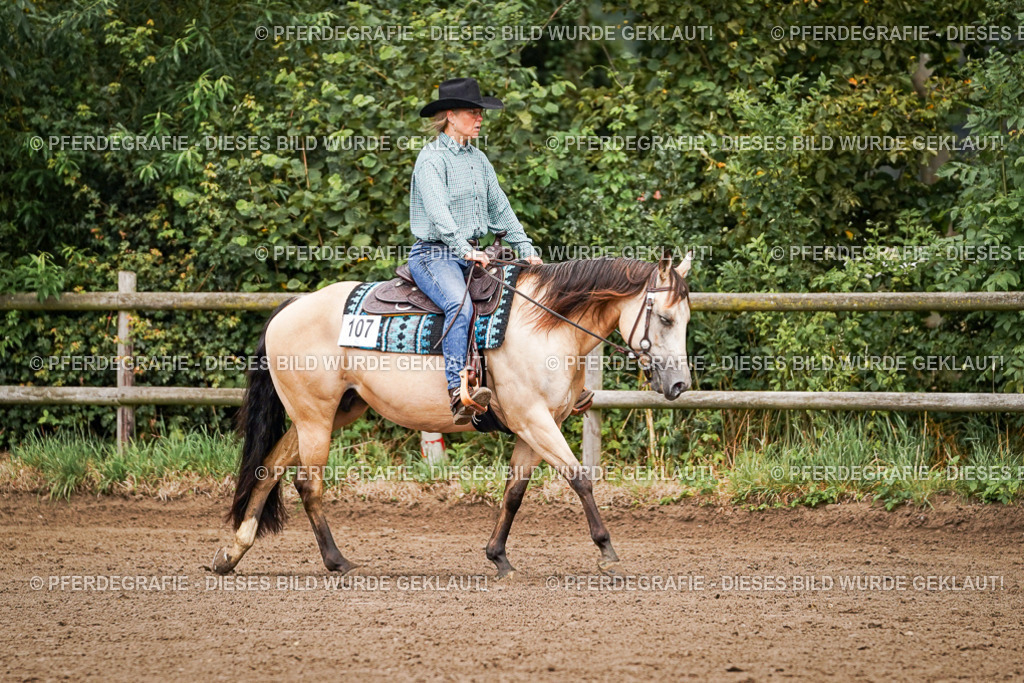 DSC06265 | Pferdegrafie