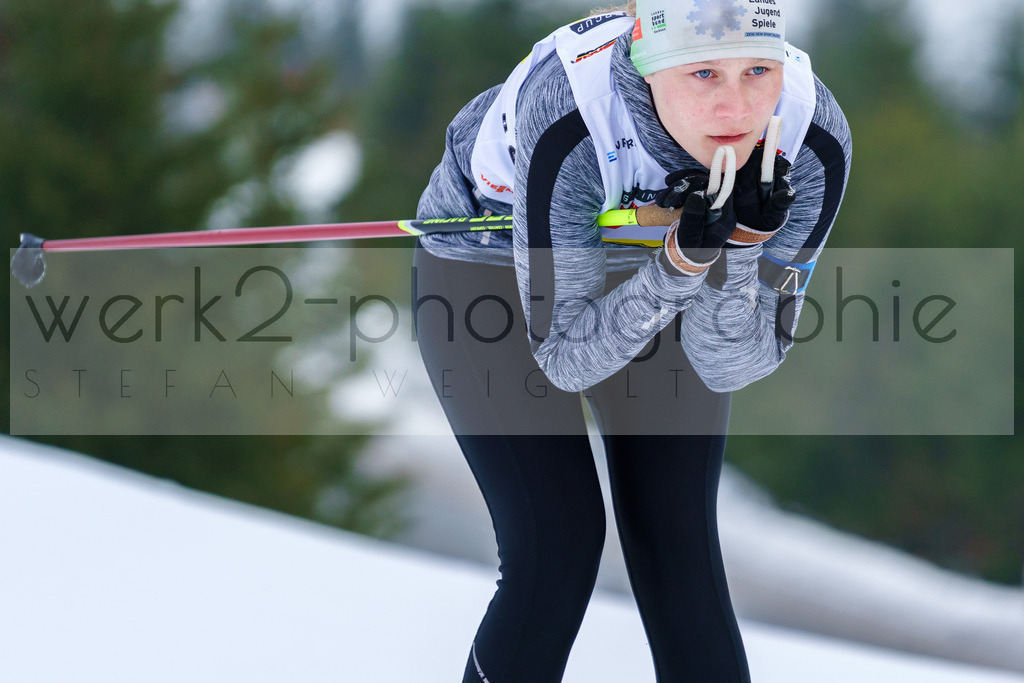 DSC Arber | Bayerischer Wald am 9. bis 12. Februar 2023
