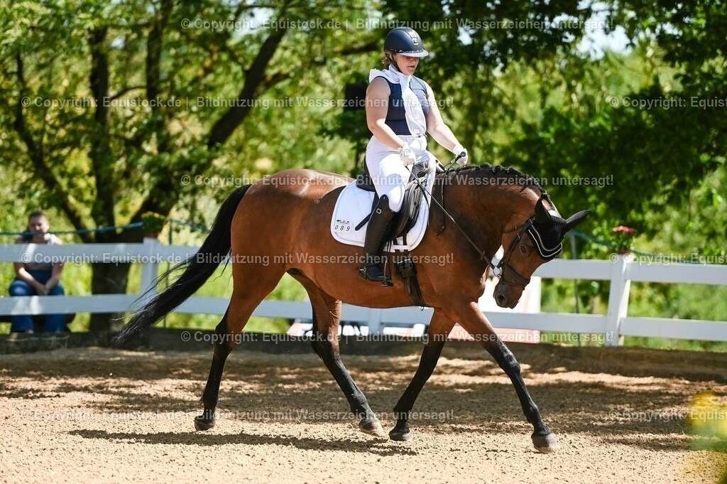 20230715_02_Dressurreiterprüfung Kl.L_0003 | equistock