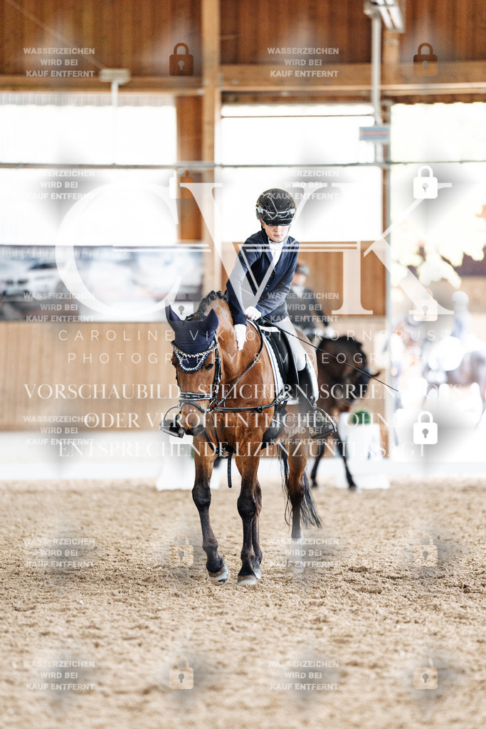CK901595 | Turnierfotografie Pferdefotografie Trier Rheinland-Pfalz Pferdesport Reitsport Tierfotografie Sportfotografie Pferdevideo Pferdevideografie Equestrianvideography equestrianphotography  - Realisiert mit Pictrs.com