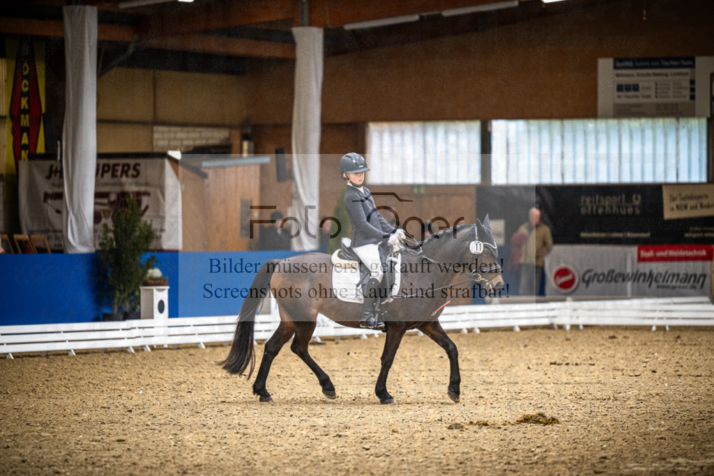 DOS_0061 | Entdecke hochwertige Reitturnierfotos von Foto Oger. Professionell, emotional und authentisch – jetzt Lieblingsmomente im Shop bestellen.Deutschlandweite Turnierfotografie. - Realisiert mit Pictrs.com