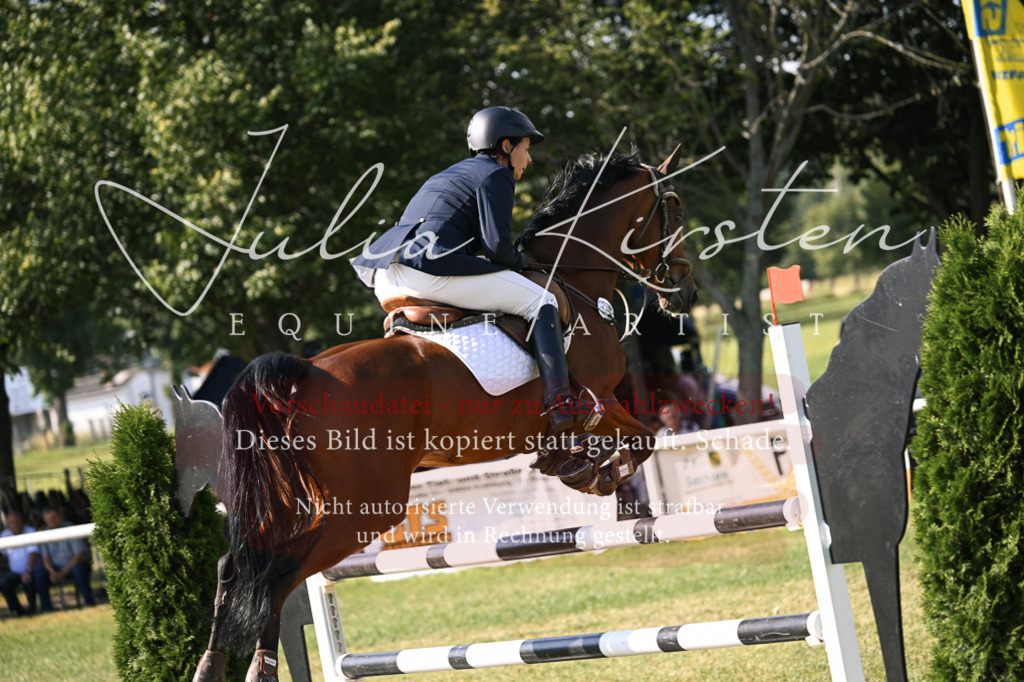 DSC_1247 | Pferde- und Turnierfotografie in Westsachsen. Pferdeportraits, Auftragszeichnungen und intuitive Kunst.