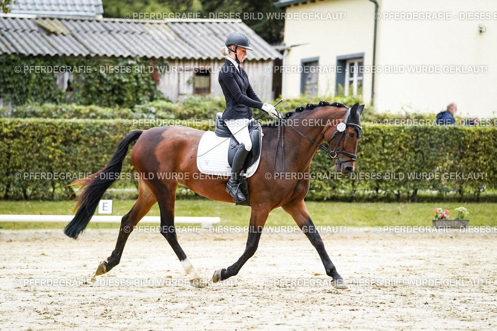 DSC06264 | Pferdegrafie