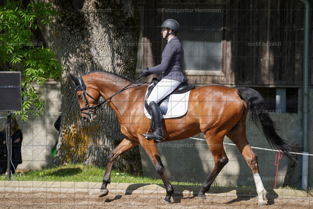 20240519-FAH04738 | Turnierbilder Niederseeon 2024, Vielseitigkeitsdressur, Reitsportbilder aus dem Landkreit Ebersberg, Gut Steinsee, RC Steinsee, Fotoagentur Herrmann