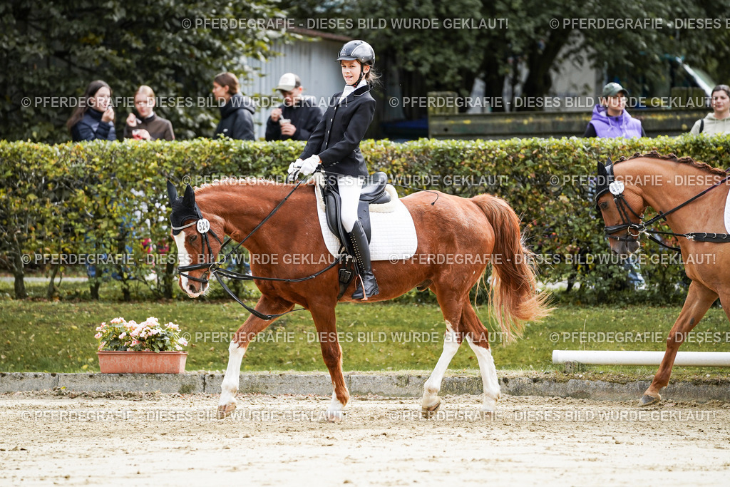 DSC05603 | Pferdegrafie