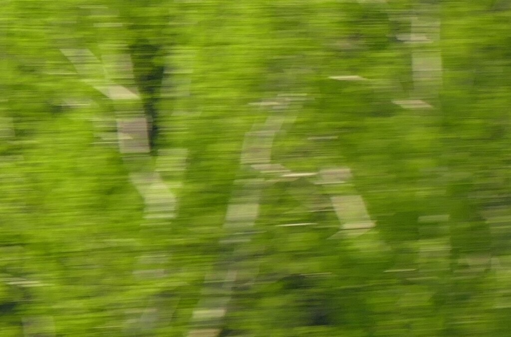 P3460978_b | Annaeherungen - Realisiert mit Pictrs.com