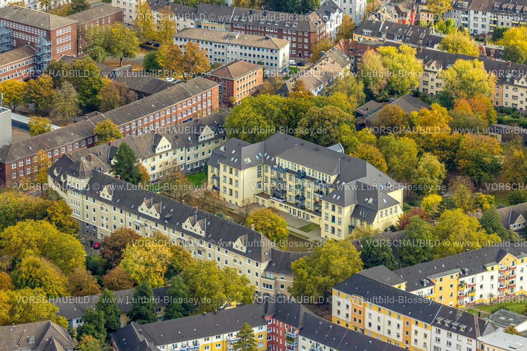 Essen251003247Mitte | Luftbild, Wohnsiedlung Bärendelle mit herbstlichen Bäumen, ehemaliges Schulgebäude, Frohnhausen, Essen, Ruhrgebiet, Nordrhein-Westfalen, Deutschland