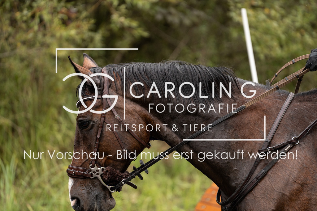 DSC06680 | Turnierfotografin Carolin Gieschke, Turnierfotografie Carolin G Fotografie, Turnierfotos Kirchheim/Teck, Esslingen, Stuttgart, Bodenseekreis