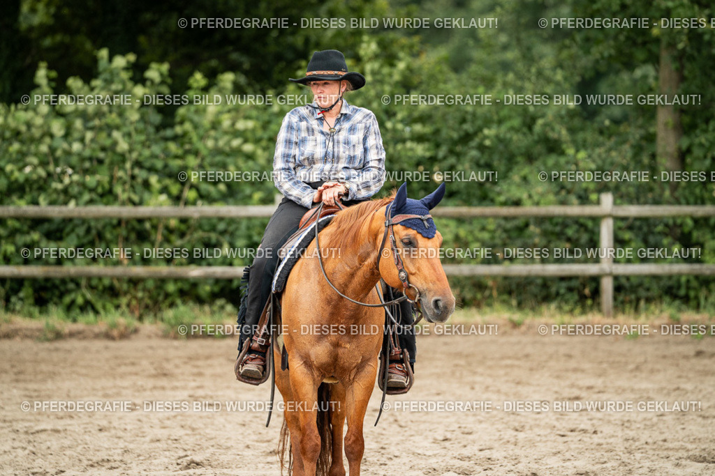 DSC03694 | Pferdegrafie