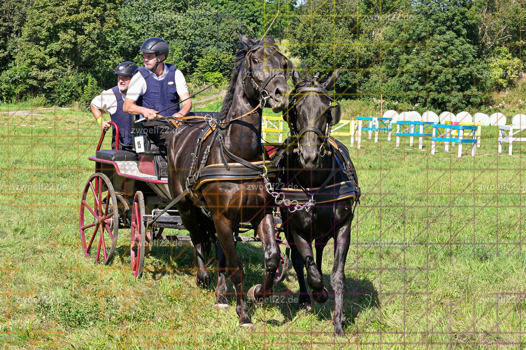 30 Jahre RFV Pulsnitz e.V., Pulsnitz am 09.08.2026 | 30Jahre Reit- und Fahrverein Pulsnitz e.V., Pulsnitz am 08.08.2026Zur 28. breitensportlichen Veranstaltung des RFV Pulsnitz e.V. fanden verschiedene Wettbewerbe in nahezu allen Disziplinen des Pferdesport statt.- Geländefahr-Wettbewerb - Realisiert mit Pictrs.com