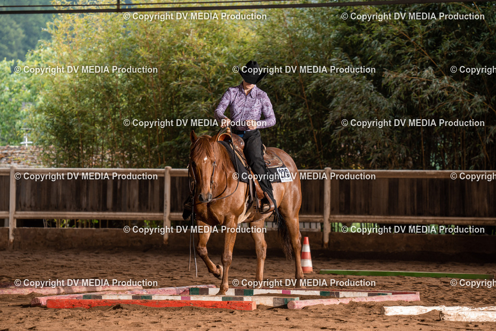 Erbach Tag 3-093 | dv-media-shop - Realisiert mit Pictrs.com