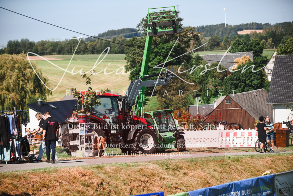 DSC_2673 | Pferde- und Turnierfotografie in Westsachsen. Pferdeportraits, Auftragszeichnungen und intuitive Kunst.