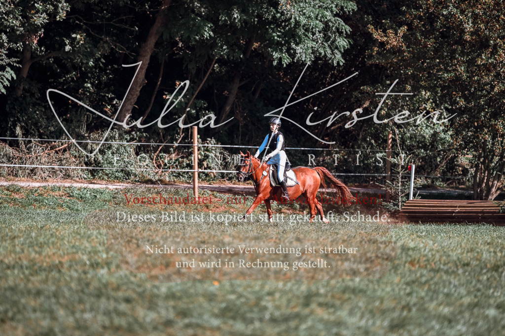 DSC_0883 | Pferde- und Turnierfotografie in Westsachsen. Pferdeportraits, Auftragszeichnungen und intuitive Kunst.