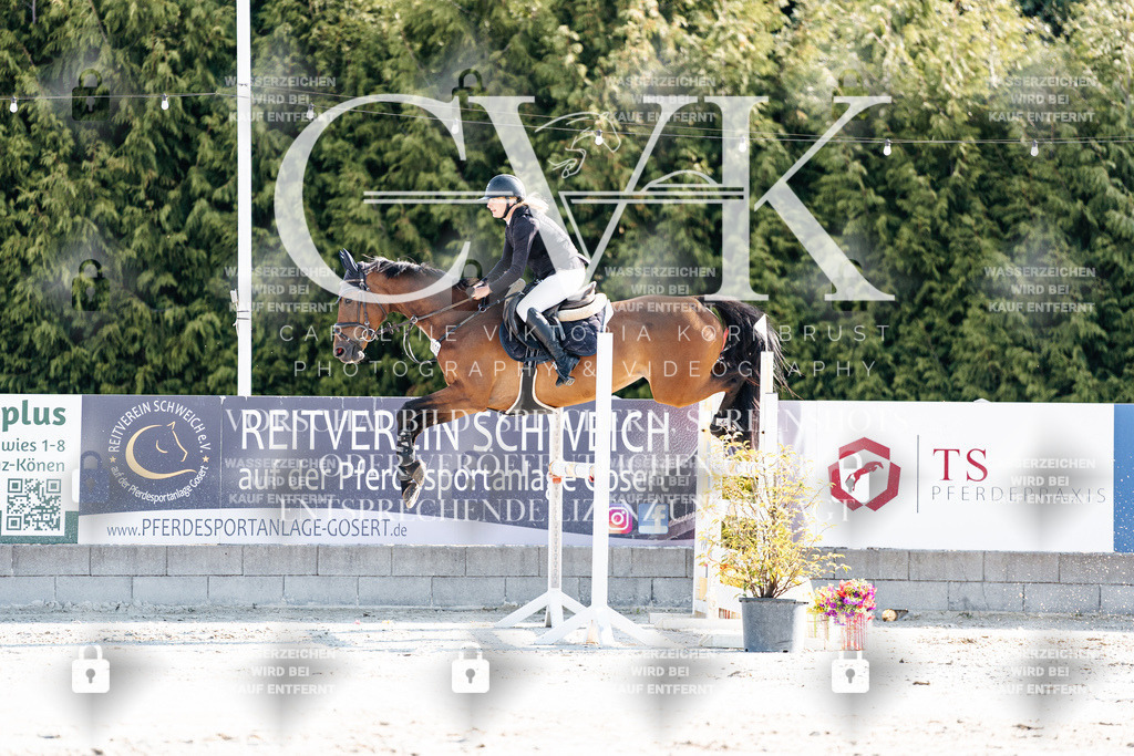 CK901736 | Turnierfotografie Pferdefotografie Trier Rheinland-Pfalz Pferdesport Reitsport Tierfotografie Sportfotografie Pferdevideo Pferdevideografie Equestrianvideography equestrianphotography  - Realisiert mit Pictrs.com
